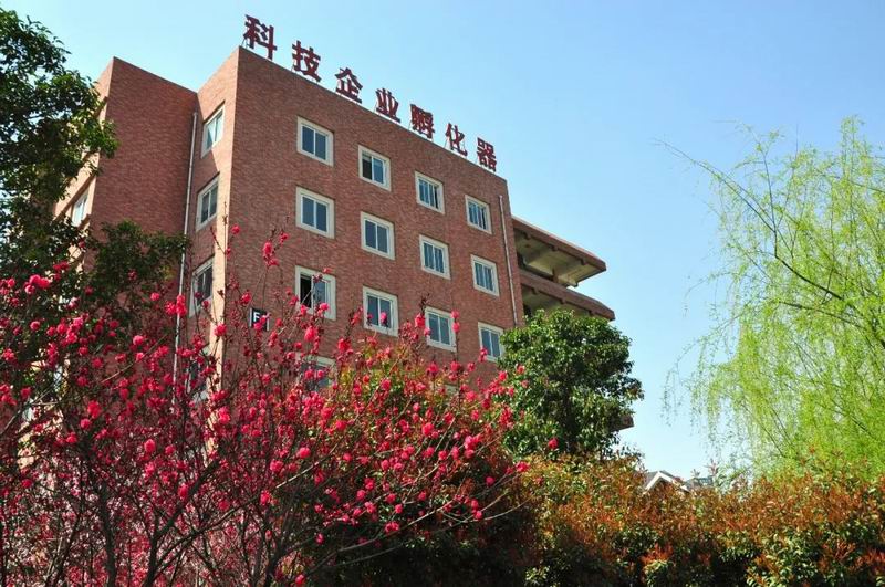 1654935011893532.jpg 640 (4).jpg